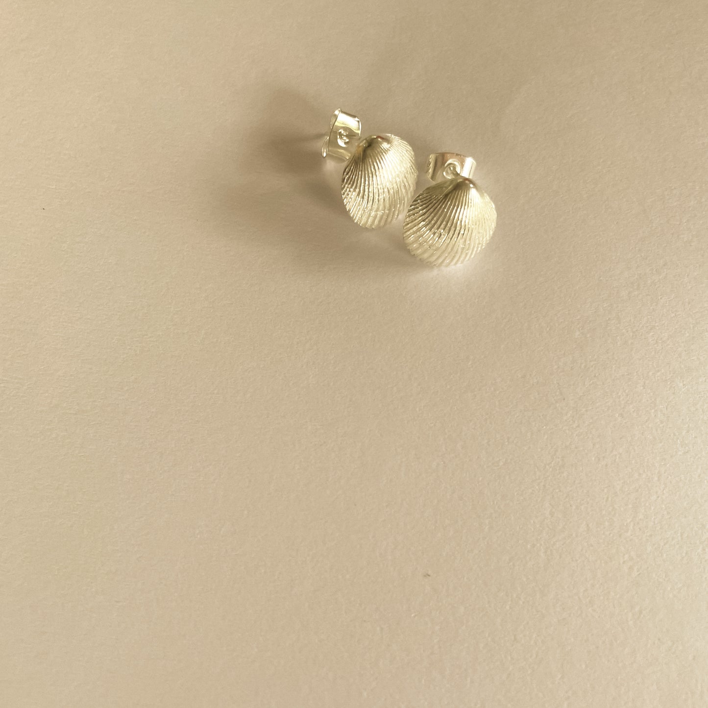 Tiny Livi Sea Shell studs
