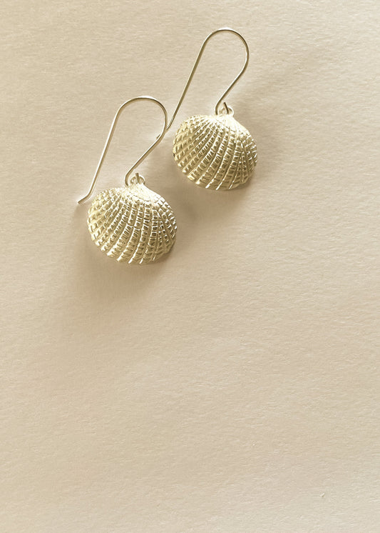A pair of silver sea shell-shaped earrings against a neutral background.