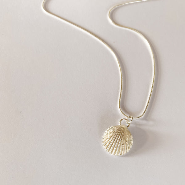 Sea Shell necklace