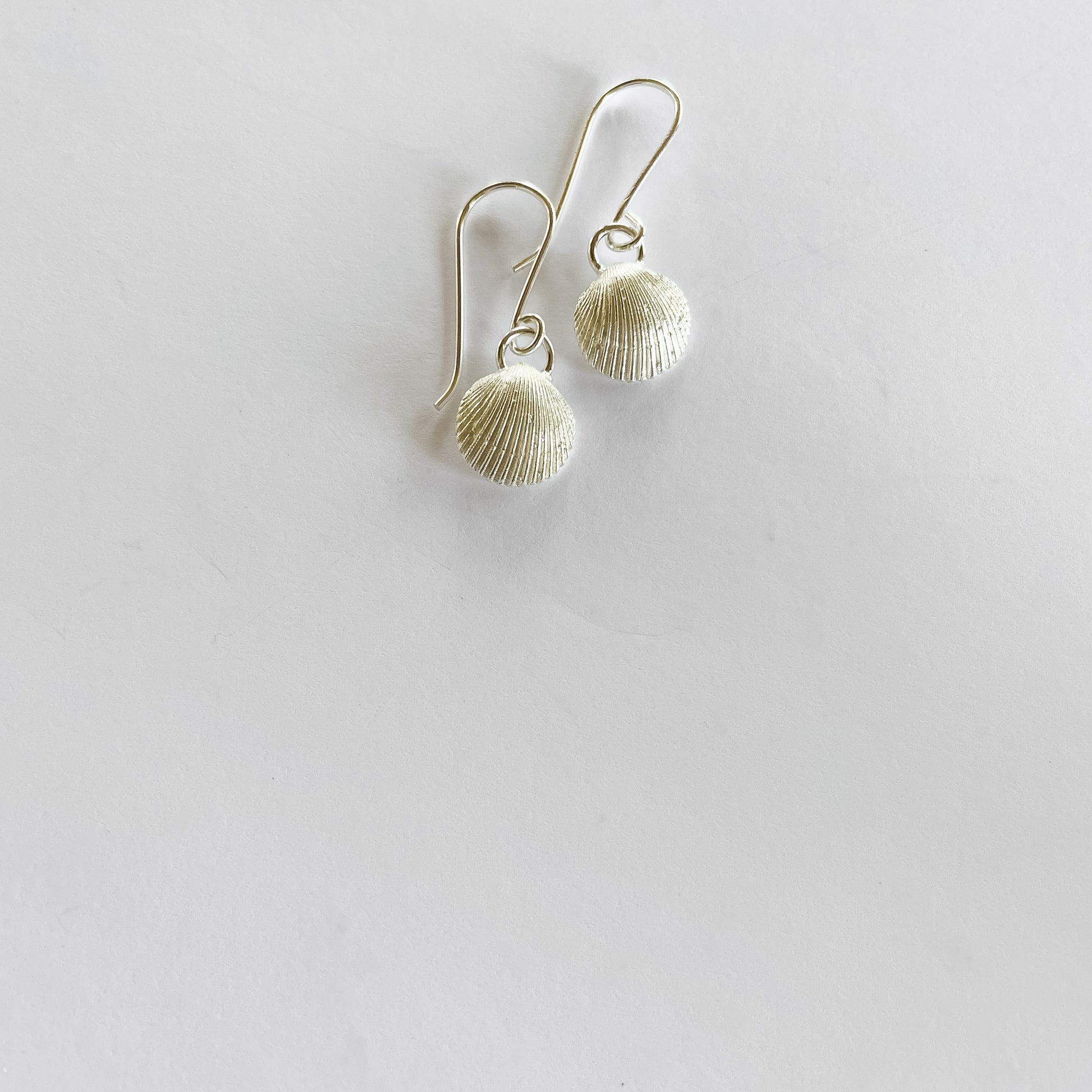 silver cockle shell earrings