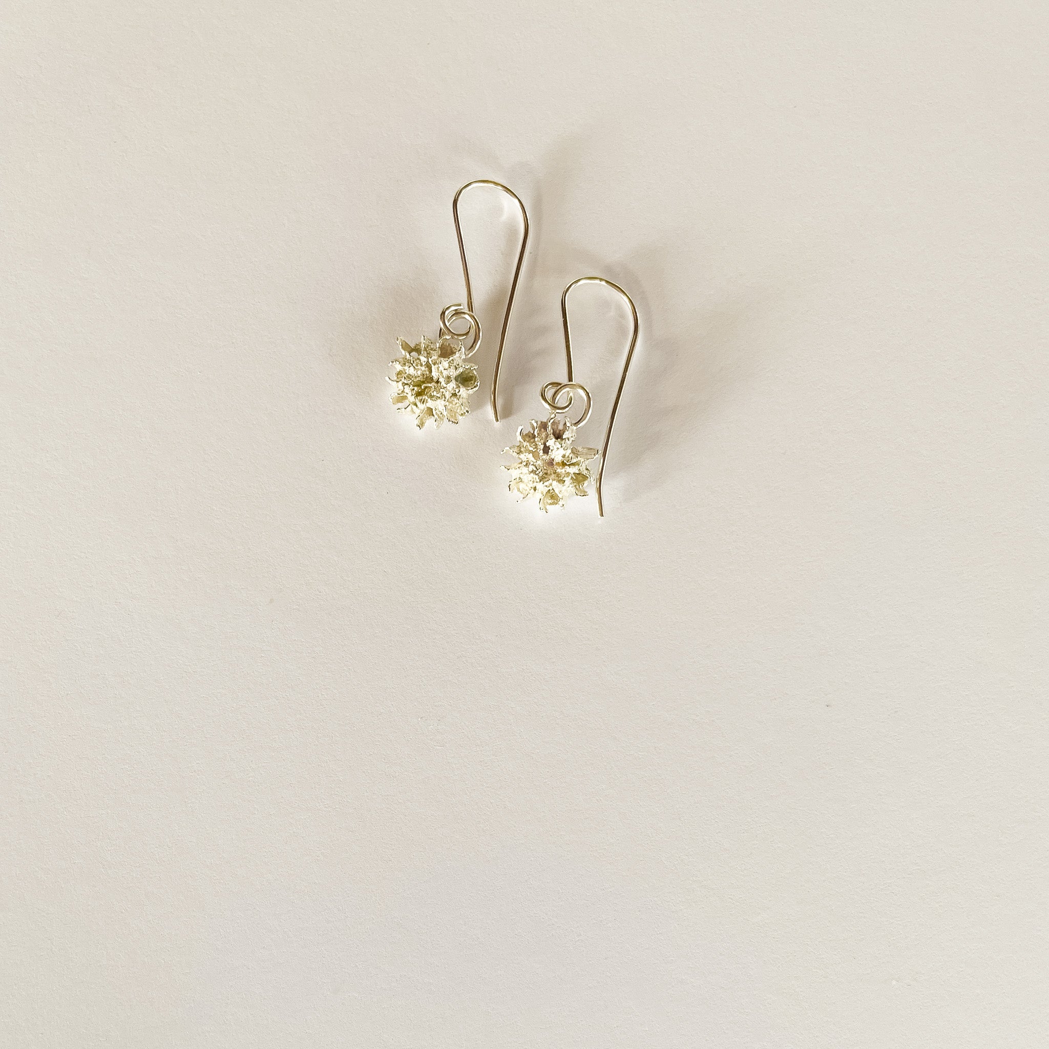 She Oak earrings